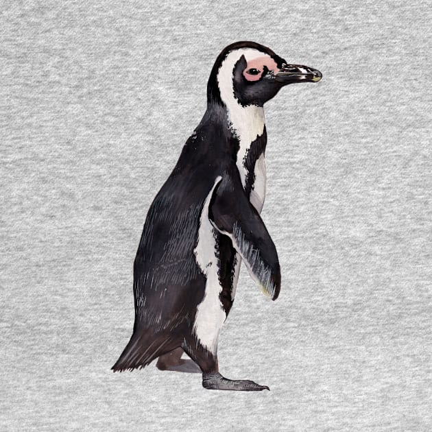 African Penguin by IndiasIllustrations